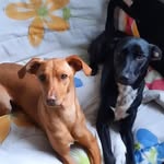 Agnes e Ana Catarina - @agnesmaria_anacatarina - Instagram