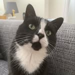 @cathy_nelson_and_agnes - Instagram