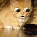 Agnes Chadwick - Facebook