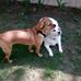 Agnes Channel - Facebook