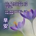 Agnes Chia Choi Ping - Facebook