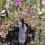 agnes cho - @agnes.chom - Instagram