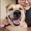 Agnes_choo820 - @agneschoo43 - TikTok