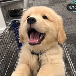Agnes Choi - @agneschoi7958 - Instagram