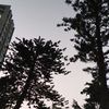 蔡康澄 - @agneschoy1512 - TikTok
