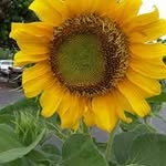 Agnes Chua - @agnes.chua.1042 - Instagram