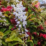Agnes Clark - @nanapics2022 - Instagram