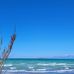 Agnes Clark - Facebook