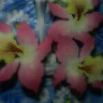 agnes jane clark - @agnesjaneclark - Instagram