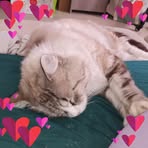 Agnes Clement - Facebook