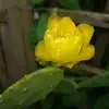 Agnes Clement - @agnes.clement3 - TikTok