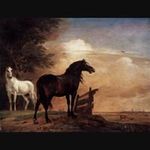 Agnes Clouder - @agnesclouder - Instagram