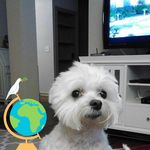 Agnes Daley Franks - @gramsaf63 - Instagram