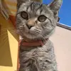 Ágikaaaa❤️ - @gabor.agnes1 - TikTok