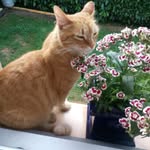 Agnes Francois Galand - @galandagnes - Instagram