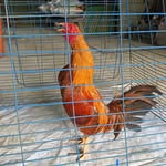 Jeric Ramos Concepcion - @agnesgalangmaligalig - Instagram