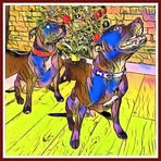 Agnes Galbraith - Facebook