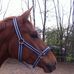 Agnes Gall - Facebook