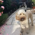 Agnes Gallagher - @agnes.gallagher.16 - Instagram