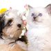 Agnes Garrison - Facebook