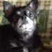 Agnes Gast - Facebook