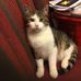 Agnes Geiger - Facebook