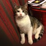 Agnes Geiger - @agnes_geiger123 - Instagram
