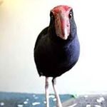 Agnes Glover - @glover.agnes - Instagram