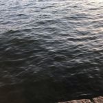 agnes - @agnesgoodgame - Instagram