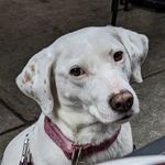 Agnes Brunhilda - @agnes_good_girl - Instagram