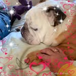 Agnes Gordon - @amg_2702 - Instagram