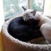 Agnes Grace - Facebook