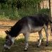 Agnes Granier - Facebook