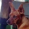 Agnes Annette Stowe Grant - @agnes.annette.sto - TikTok