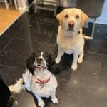 Agnes Gray - @agnes_gray - Instagram
