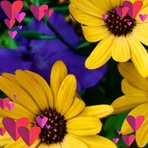 Agnes Greene - Facebook