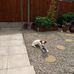 Agnes Greig - Facebook