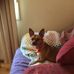 Agnes Hood - Facebook