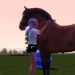 Agnes Howell - @the_sims_3_horse_ - Instagram