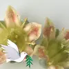 Agnes Hsu - @2162046170 - TikTok