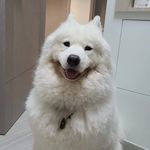 Agnes Hsu - @agnes.hsu.583 - Instagram