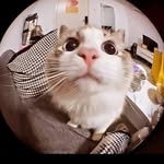 Agnesh Subba - @agneshsubba_ - Instagram