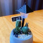 agneshsu - @agnes__hsu - Instagram