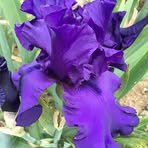 Agnes Hurst - Facebook