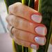 Agnes Ice Nails - Facebook