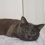 @ice_agnes - Instagram