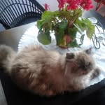 Éva Ágnes Illés - @illesevi67 - Instagram
