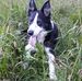 Agnes Irving - Facebook