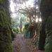 Agnes Irwin - Facebook