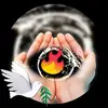 Agnes Ivery light Seeker - @agnes.ivery.light - TikTok